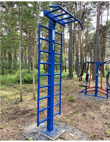 Уличный тренажер турник двухуровневый со шведской стенкой AVU040