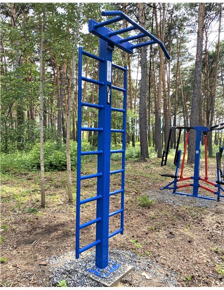 Уличный тренажер турник двухуровневый со шведской стенкой AVU040