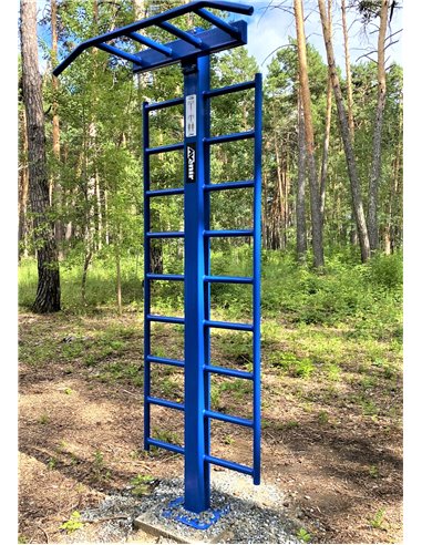 Уличный тренажер турник двухуровневый со шведской стенкой AVU040