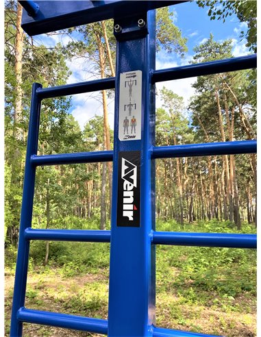 Уличный тренажер турник двухуровневый со шведской стенкой AVU040