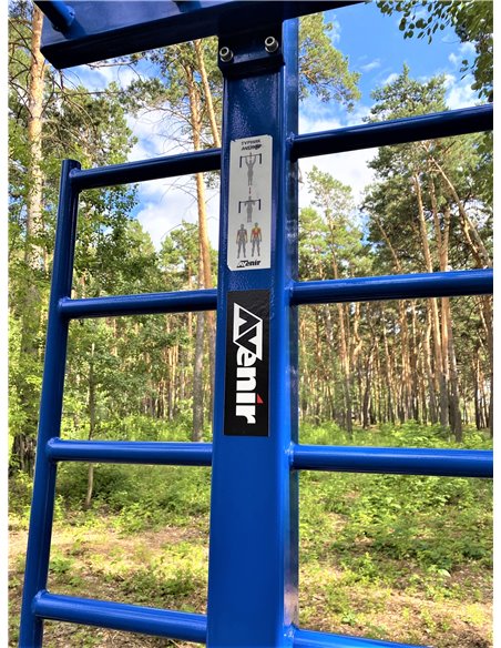 Уличный тренажер турник двухуровневый со шведской стенкой AVU040