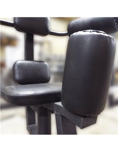 Торс машина 60 кг AV221/80