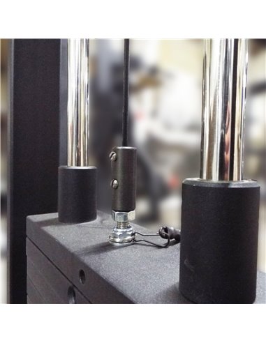 Торс машина 60 кг AV221/80