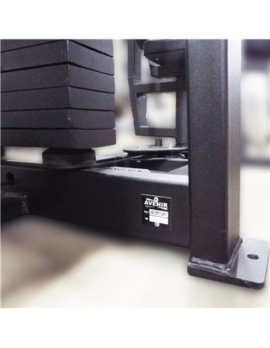 Торс машина 60 кг AV221/80