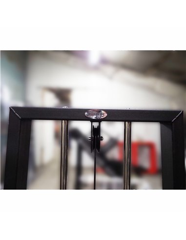 Торс машина 60 кг AV221/80