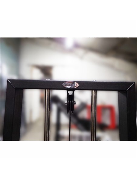 Торс машина 60 кг AV221/80