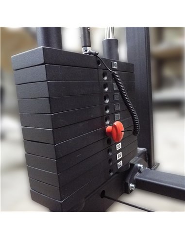 Торс машина 60 кг AV221/80