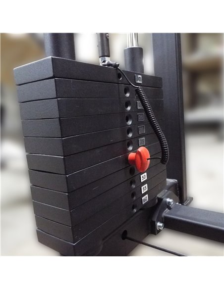 Торс машина 60 кг AV221/80