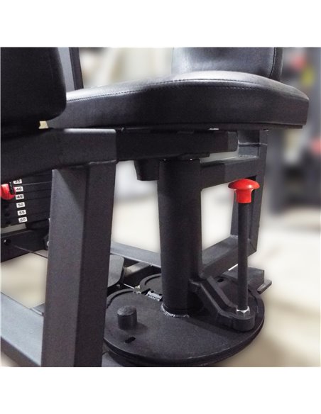 Торс машина 60 кг AV221/80