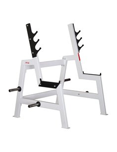 Стойка для приседаний AV117/100