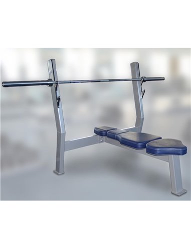 Скамья для жима лёжа AV101/100