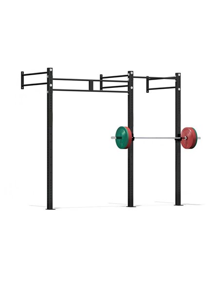 Рама функциональная 2900х1100х2758 пристенная Кроссфит AV856/80