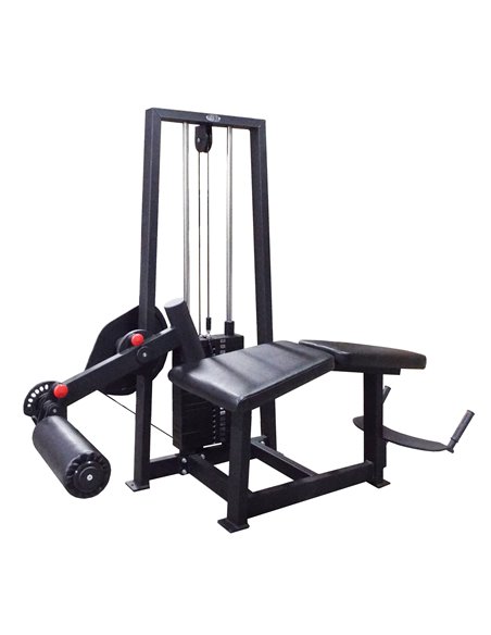 Сгибание ног лежа 100 кг AV214/80