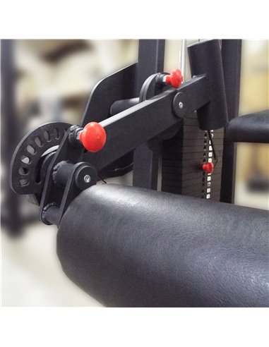 Сгибание ног лежа 100 кг AV214/80