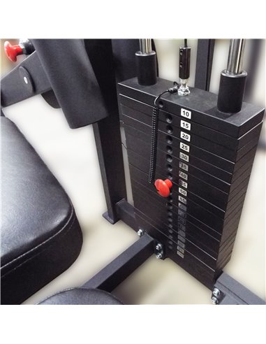 Сгибание ног лежа 100 кг AV214/80