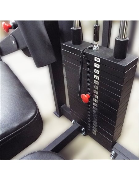 Сгибание ног лежа 100 кг AV214/80