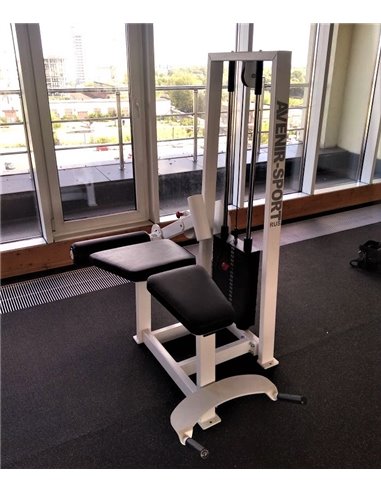 Сгибание ног лежа 100 кг AV214/80