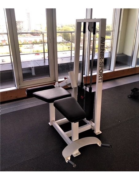 Сгибание ног лежа 100 кг AV214/80