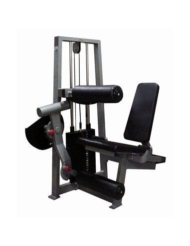 Сгибание-разгибание ног сидя 2 в 1 100 кг AV216/80
