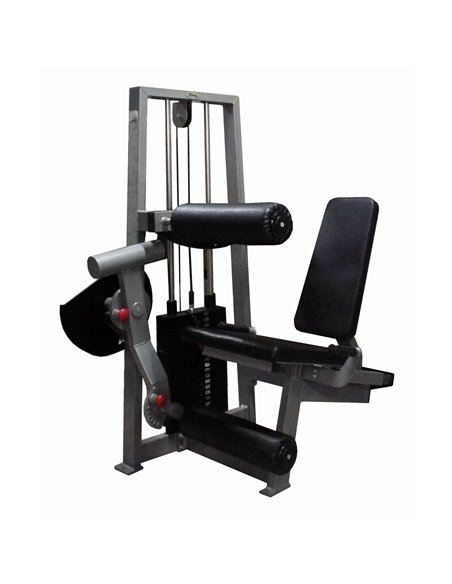 Сгибание-разгибание ног сидя 2 в 1 100 кг AV216/80