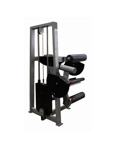 Сгибание-разгибание ног сидя 2 в 1 100 кг AV216/80