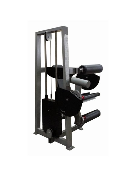 Сгибание-разгибание ног сидя 2 в 1 100 кг AV216/80