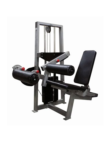 Сгибание-разгибание ног сидя 2 в 1 100 кг AV216/80