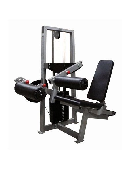 Сгибание-разгибание ног сидя 2 в 1 100 кг AV216/80