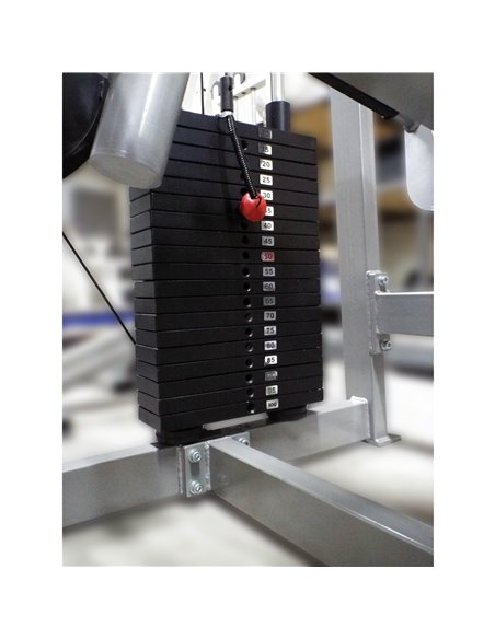 Сгибание-разгибание ног сидя 2 в 1 100 кг AV216/80