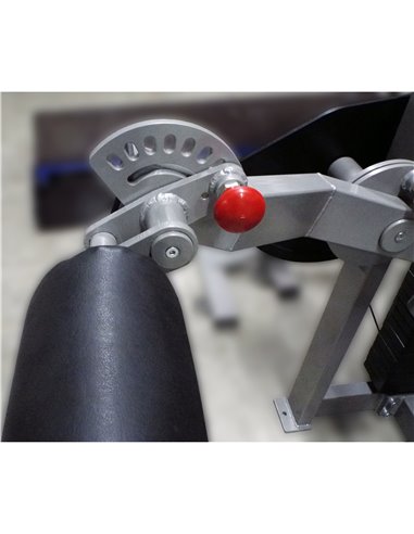 Сгибание-разгибание ног сидя 2 в 1 100 кг AV216/80