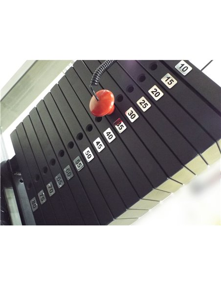 Сведение ног сидя 80 кг AV249/80