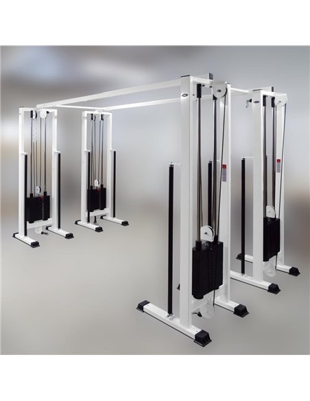 Кроссовер сдвоенный (реабилитационный) 4х70 кг AV203/80