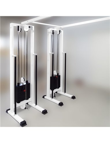 Кроссовер сдвоенный (реабилитационный) 4х70 кг AV203/80