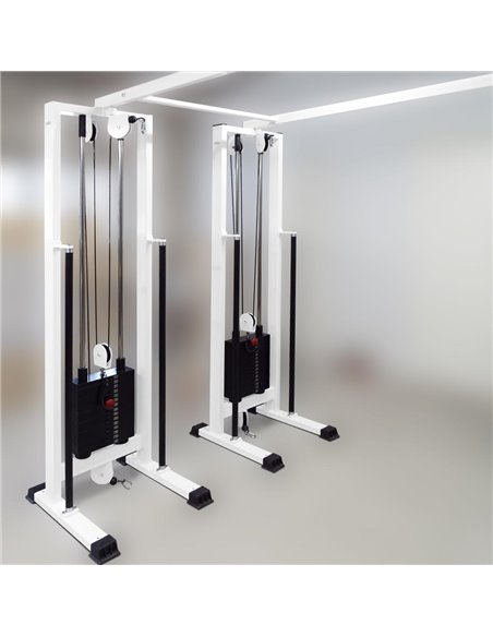 Кроссовер сдвоенный (реабилитационный) 4х70 кг AV203/80