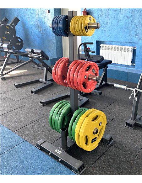 Подставка для олимпийских грифов и дисков AV608/80