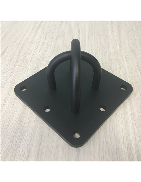 Крепление для каната, боксерского мешка потолочное AV881/80