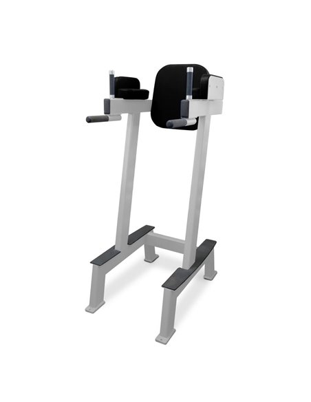 Брусья-пресс AV114/100