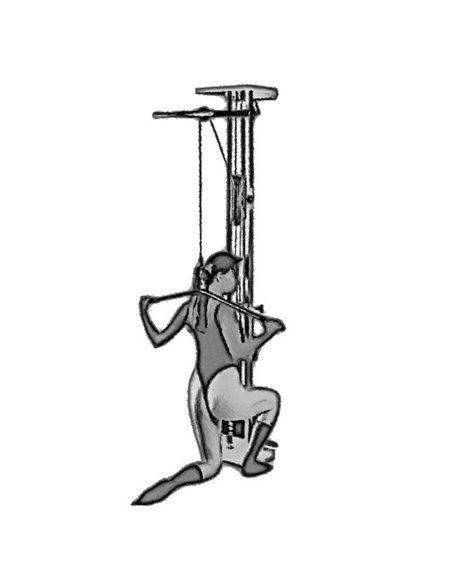 Вертикальная-горизонтальная тяга пристенная 60 кг AV208/50