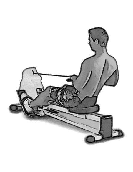 Гребной тренажёр AV502/80