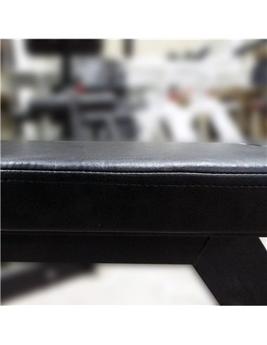 Гребная тяга 100 кг AV208/80