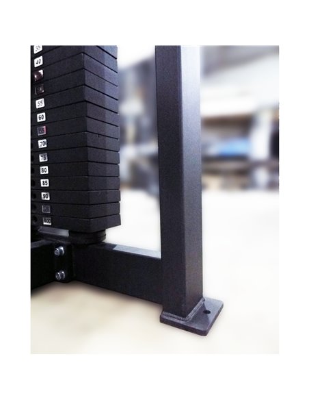 Гребная тяга 100 кг AV208/80