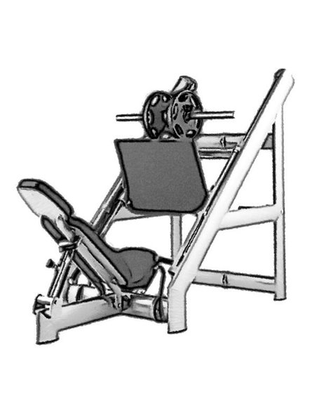Жим ногами 45° нагрузка до 800 кг AV301/100