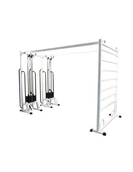 Блочная рама двойная со шведской стенкой МТБ-5 2х60 кг AV243/50