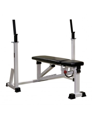 Скамья с изменяемым углом наклона со стойками у...