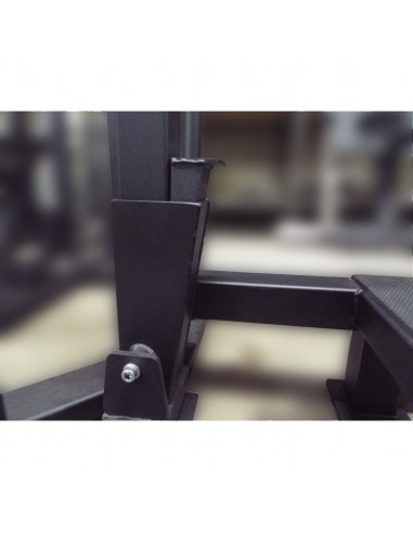 Стойка для пауэрлифтинга с жимовой скамьей...