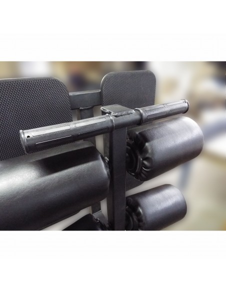 Гиперэкстензия и обратная гиперэкстензия с нагрузкой AV319/80