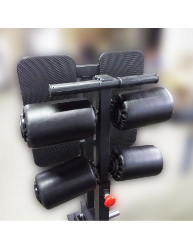 Гиперэкстензия и обратная гиперэкстензия с...