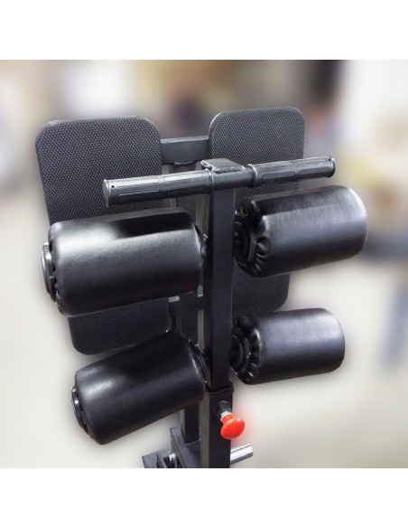 Гиперэкстензия и обратная гиперэкстензия с нагрузкой AV319/80