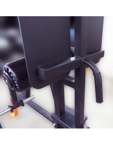 Гиперэкстензия и обратная гиперэкстензия с...