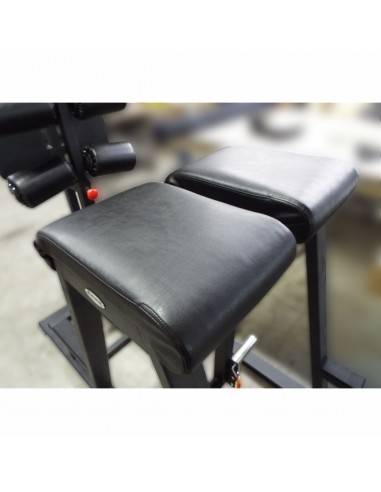 Гиперэкстензия и обратная гиперэкстензия с...